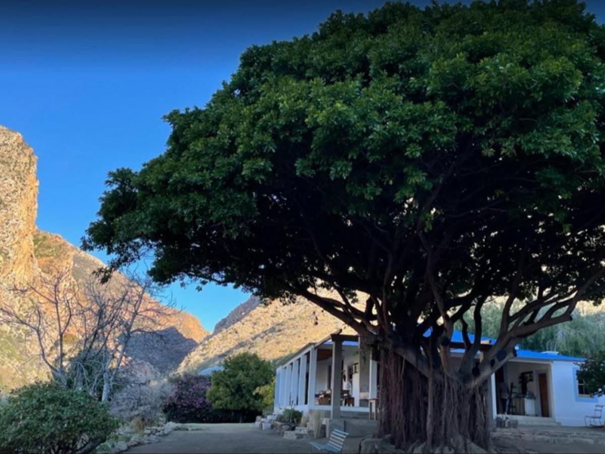 Weltevrede Fig Farm Appartement Prince Albert Buitenkant foto