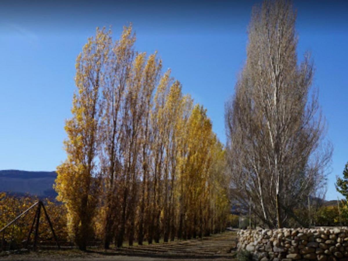 Weltevrede Fig Farm Appartement Prince Albert Buitenkant foto